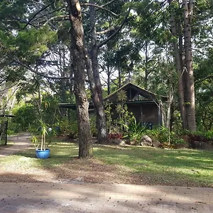 Resort Rainforest